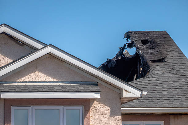 Top rated local Fire Damage Assessment specialists in Leesburg, FL